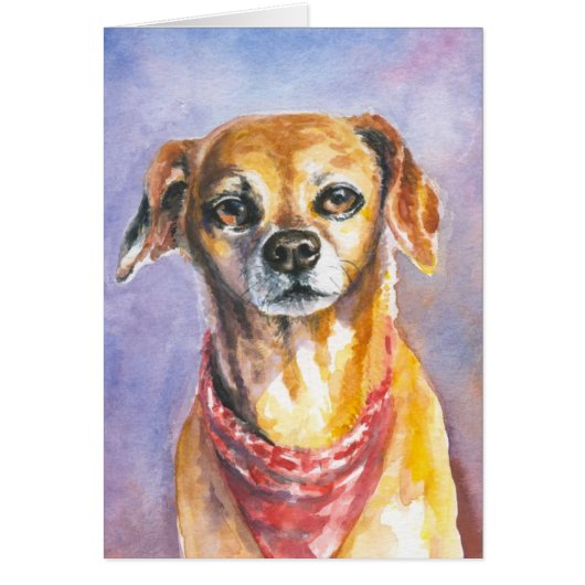 Dog 2 cards (Front)