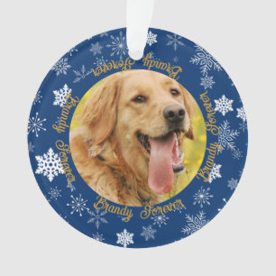Dog 2 Photo Blue Snowflake Custom Christmas Ornament