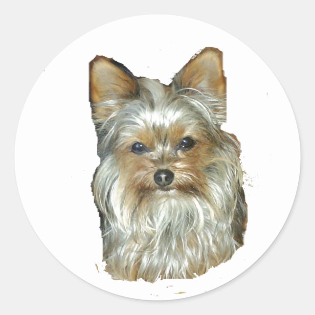Dog 4B,Yorkshire Terrier,Stickers Classic Round Sticker (Front)