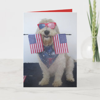 Dog 4th of July Card