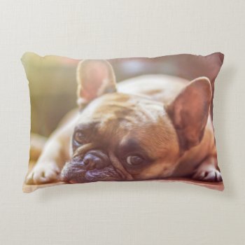 Dog Accent Pillow by somedon at Zazzle