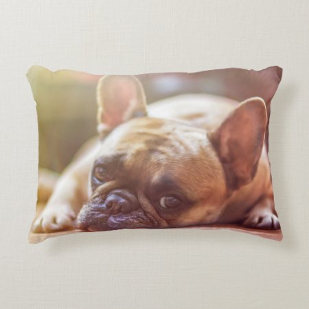Dog Accent Pillow