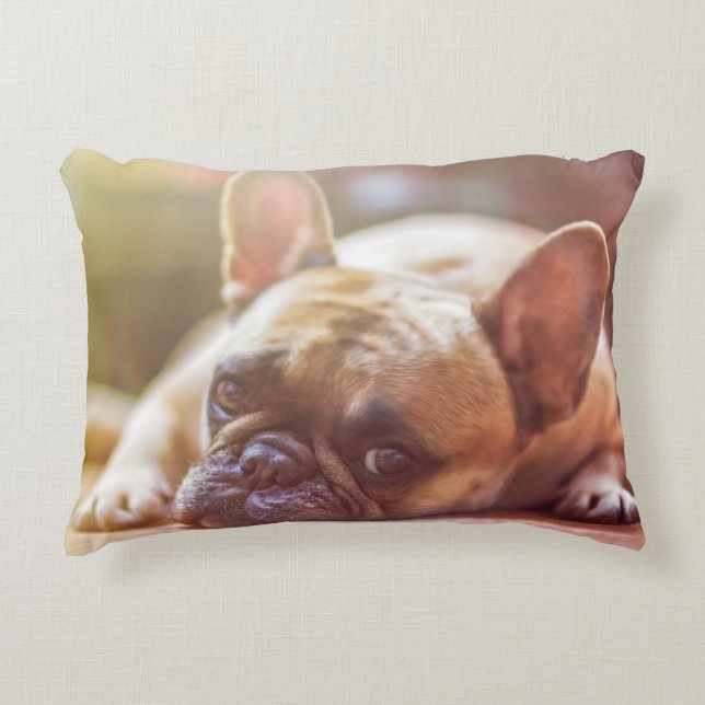 dog accent pillow (Front)