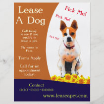 Dog Adoption Flyer