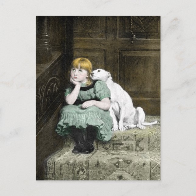 Dog Adoring Girl Postcard (Front)