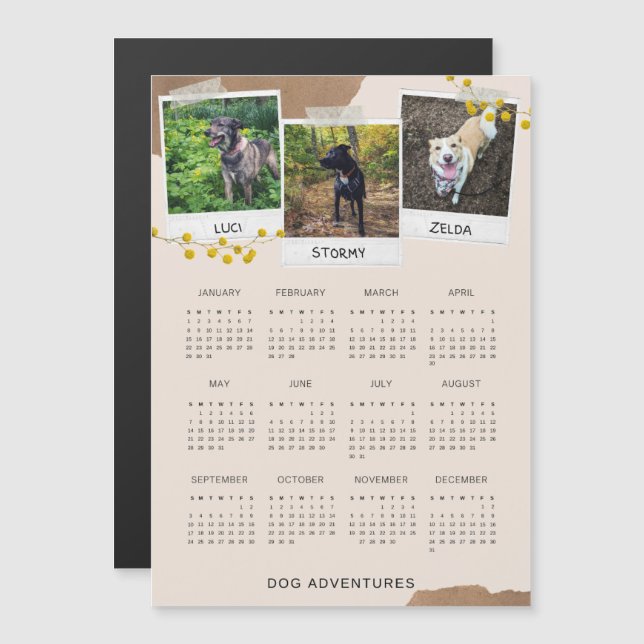 Dog Adventures Cute 2023 Magnetic Calendar (Front/Back)