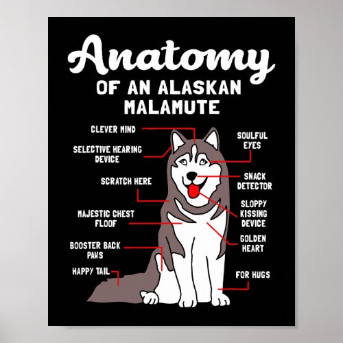 Dog Alaskan Malamute Anatomy Funny Malamute Poster