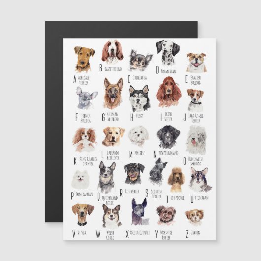 Dog Alphabet Watercolor (Front/Back)