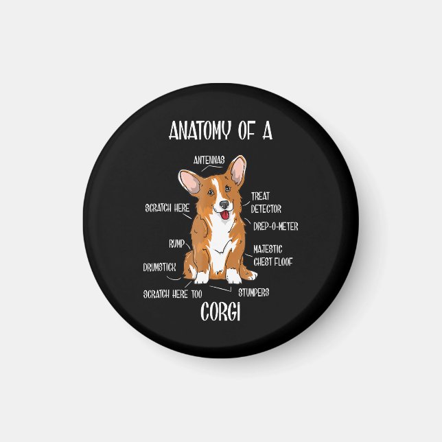Dog Anatomy , Cute Welsh Corgi Puppy Biology Gift. Magnet (Front)