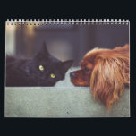 Dog and Cat Calendar<br><div class="desc">Various dog and cat pictures</div>