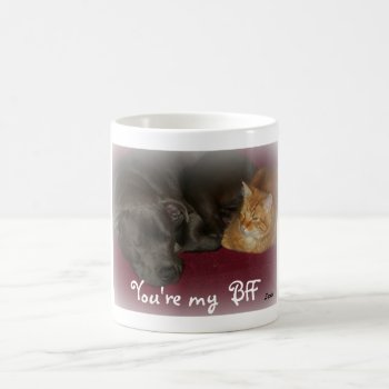 Dog And Cat  Friends Forever Mug by Susang6 at Zazzle