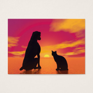 Dog and cat friendship at sunset