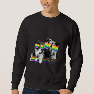 Dog And Cat Gay Pride Flag Sunglasses Lgbt Sweatshirt