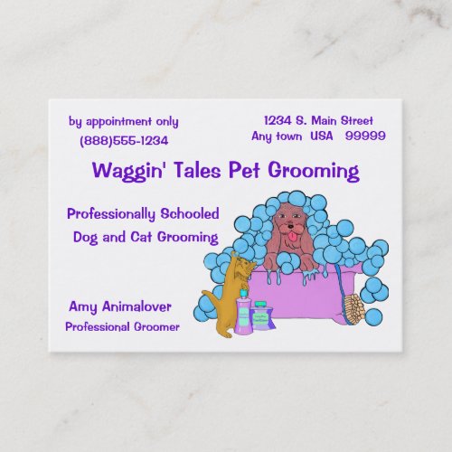 Dog And Cat Grooming Business And Appointment Card