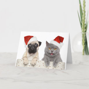 Dog And Cat In Red Christmas Hat Holiday Card