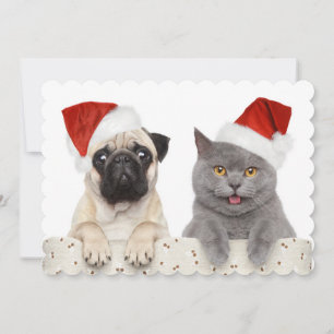 Dog And Cat In Red Christmas Hat Holiday Card