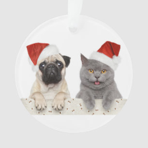 Dog And Cat In Red Christmas Hat Ornament