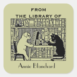 Dog and Cat in the Library Square Sticker