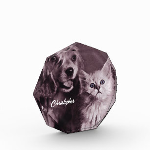 Dog and Cat, Looking Up Personalized Acrylic Award