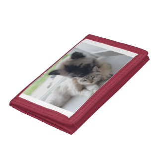 Dog And Cat Love Trifold Wallet