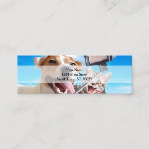Dog and cat photographed selfie on the phone mini business card