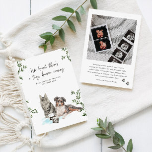 Dog and Cat Pregnancy Announcement
