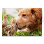 Dog and Chick (Front Horizontal)