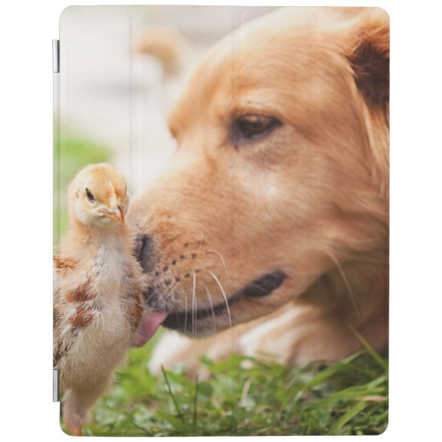 Dog and Chick iPad Smart Cover (Front)