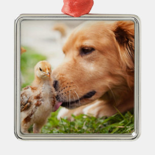 Dog and Chick Metal Ornament