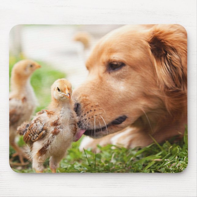 Dog and Chick Mouse Pad (Front)