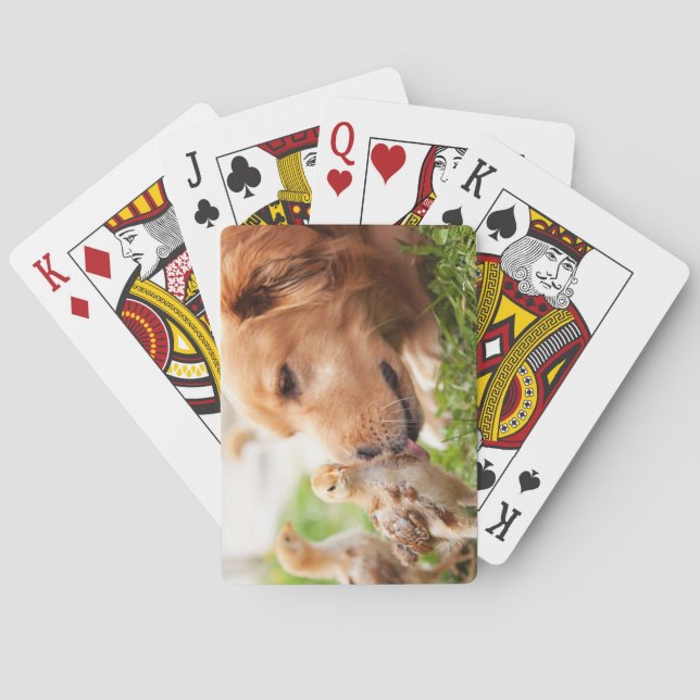 Dog and Chick Poker Cards (Back)