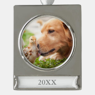Dog and Chick Silver Plated Banner Ornament