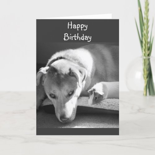 Dog and Guinea Pig Birthday Card