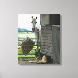 Dog and horse at ranch in Menton, France Canvas Print