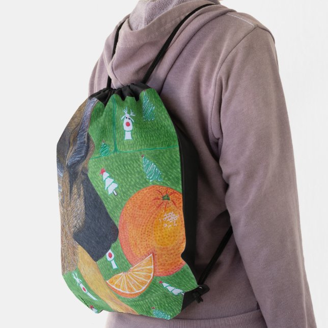 Dog and orange drawstring bag (Insitu)