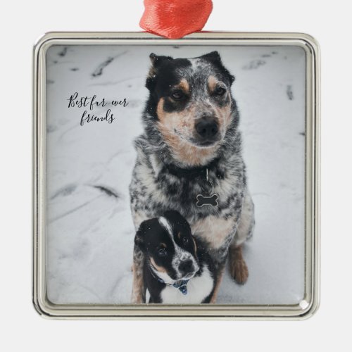 Dog And Puppy Best Fur_ever Friends Metal Ornament