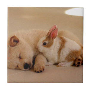 Dog and rabbit ceramic tile