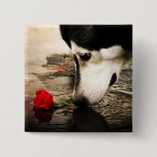 Dog and Red Rose Button