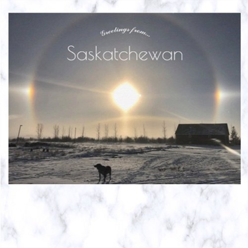 Dog and Sun Dog in Archydal Saskatchewan Canada Postcard