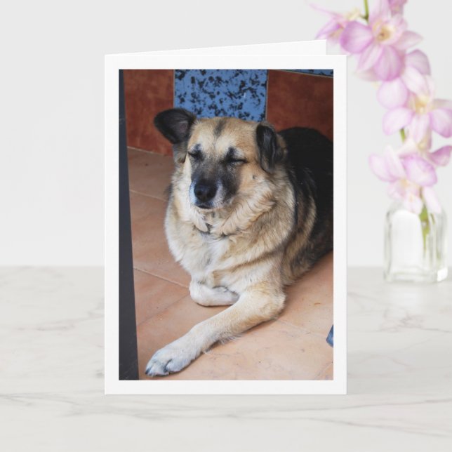 Dog and Tiles Portrait Card (Orchid)