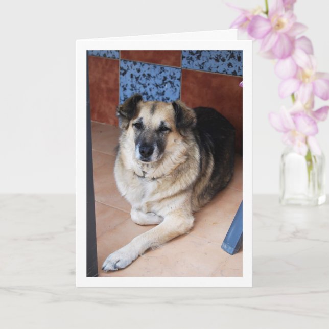 Dog and Tiles Portrait Card (Orchid)