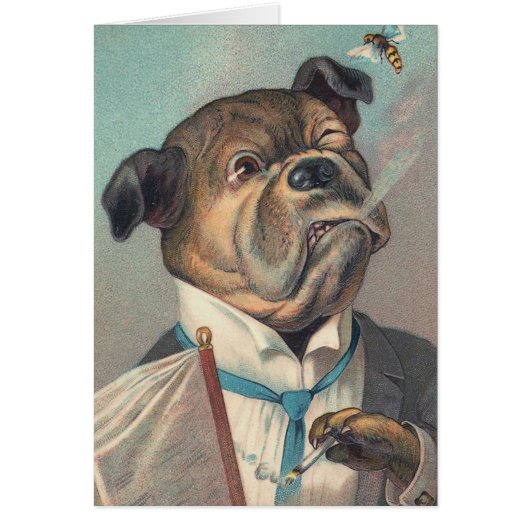 Dog and Wasp Vintage Illustration Cards (Front)