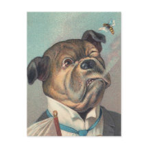 Dog and Wasp Vintage Illustration
