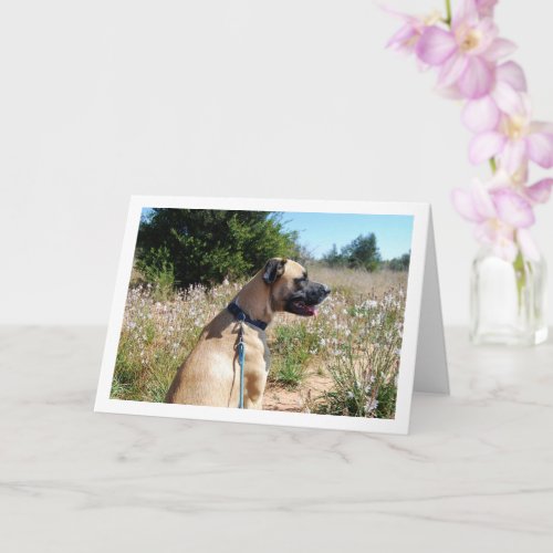 Dog and Wildflowers Portrait Card