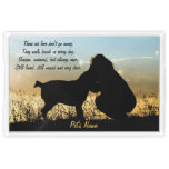 Dog And Woman Sunset Silhouette Acrylic Tray at Zazzle