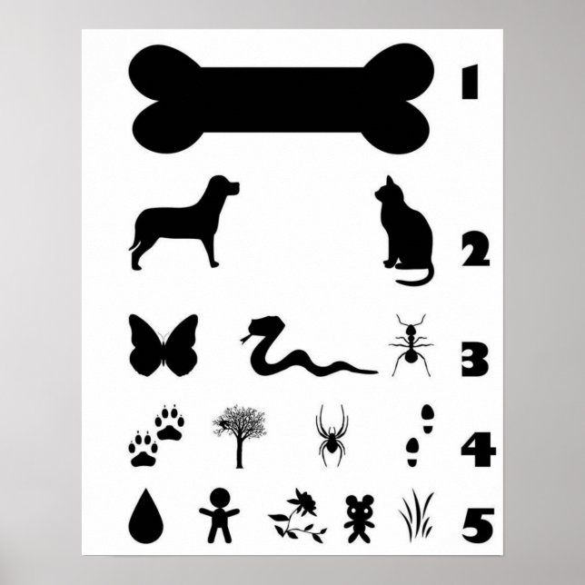 Dog Animal Eye Chart Poster (Front)