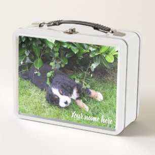 dog,Animal,lunch box ,Case,colorful+ craft,