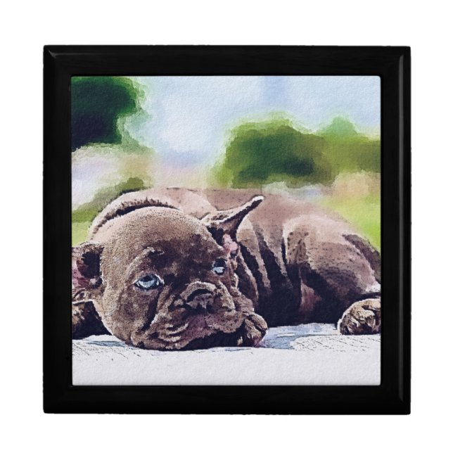 dog, animal, pet gift box (Front)