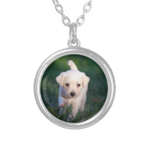 Dog, Animal, Puppy Silver Plated Necklace