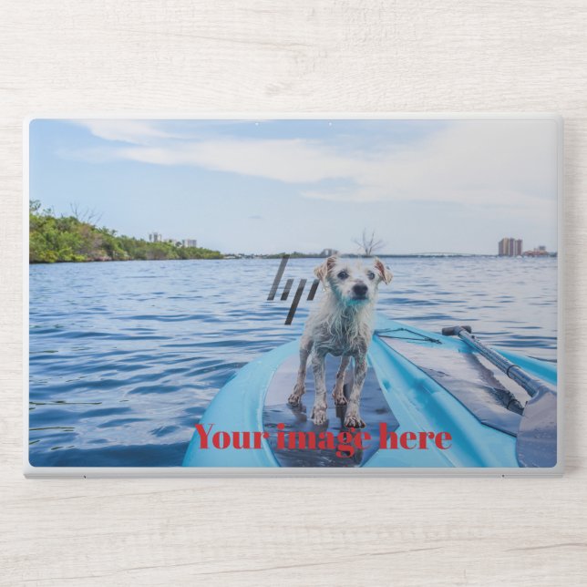  Dog&animal sea view, HP Laptop Skin (Front)